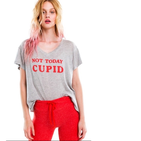 Wildfox Tops - Wildfox not today Cupid Gray shirt XS